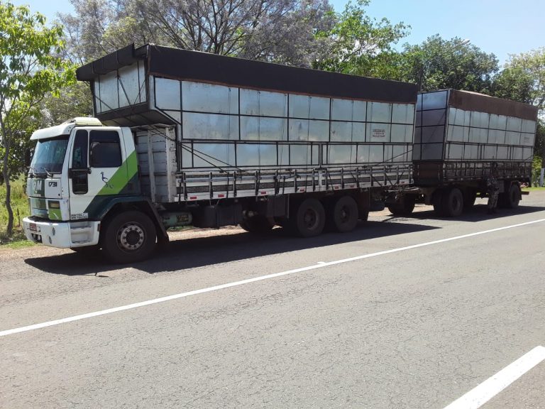 http://www.pm.ms.gov.br/wp-content/uploads/2019/10/carreta-Carv%C3%A3o-Aquidauana-9-de-outubro-de-2019-768x576.jpg