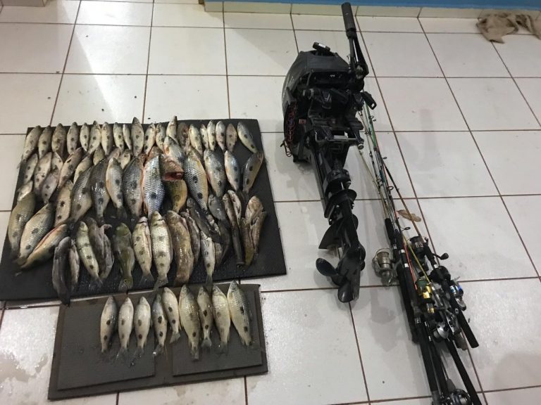 http://www.pm.ms.gov.br/wp-content/uploads/2019/10/pescado-TL-14-de-outubro-de-2019-1-768x576.jpg