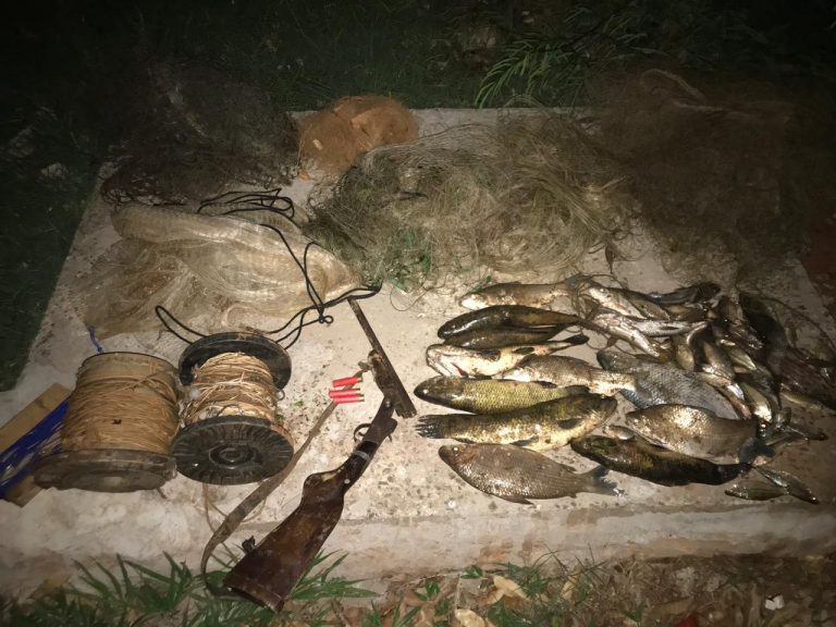 http://www.pm.ms.gov.br/wp-content/uploads/2019/10/pescado-arma-e-petrechos-de-Pesca-Sete-Quedas-12-de-outubro-de-2019-1-768x576.jpeg
