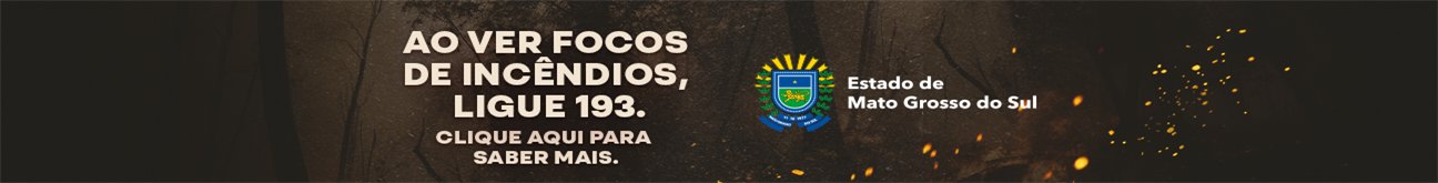 Banner combate aos incêndios no Pantanal e demais biomas
