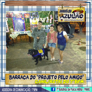 Imagem10