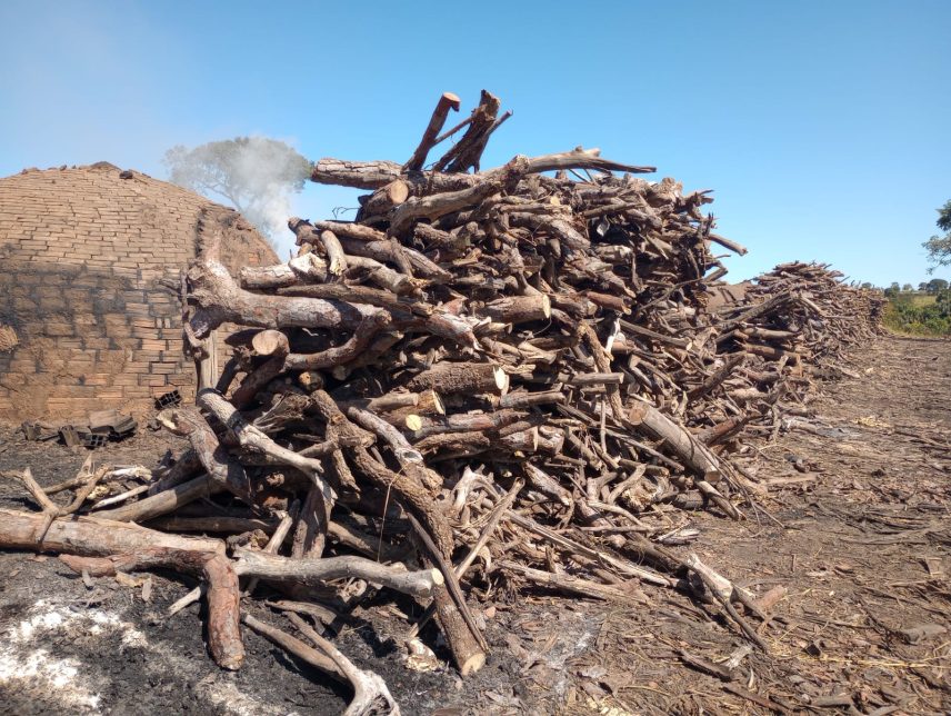 Polícia Militar Ambiental divulga balanço das ações realizadas em 2022