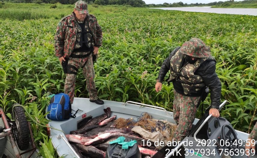 Polícia Militar Ambiental divulga balanço das ações realizadas em 2022