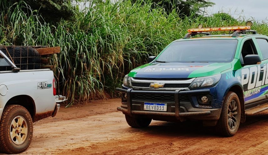 PMA de Naviraí autua em R$ 2 mil infrator de 35 anos por transporte de javali vivo