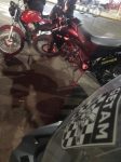 Polícia Militar apreende indivíduo por direção perigosa em Três Lagoas Polícia Militar apreende indivíduo por direção perigosa em Três Lagoas