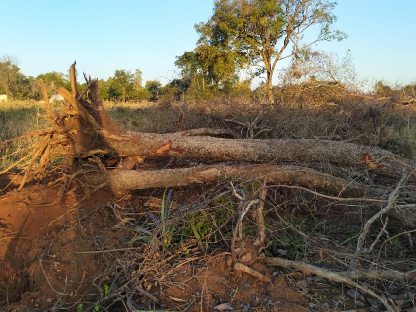 Polícia Militar Ambiental divulga balanço das ações realizadas em 2022 Polícia Militar Ambiental divulga balanço das ações realizadas em 2022