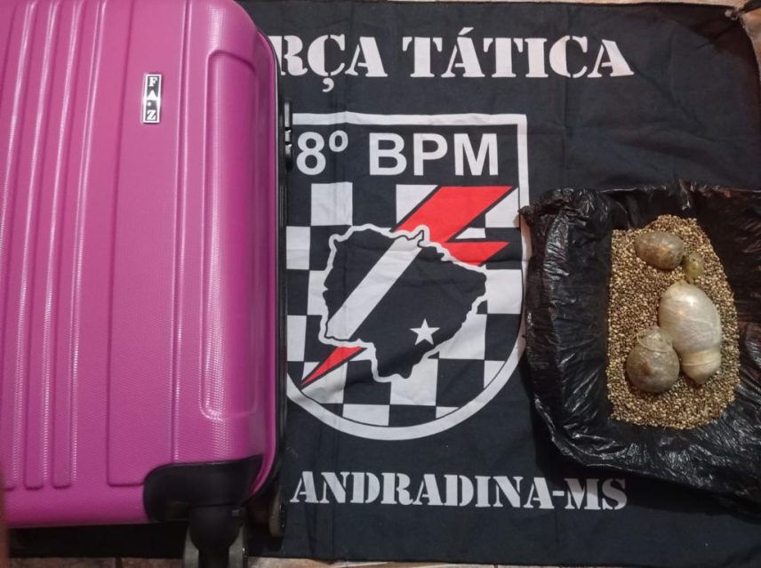 Foto: Divulgação/PM - MS